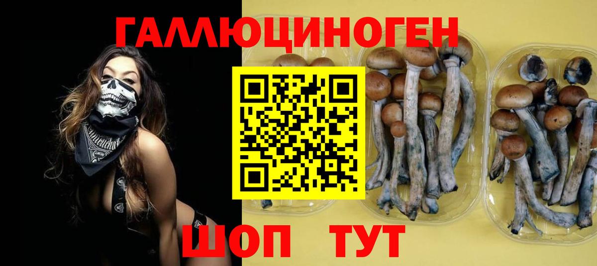Псилоцибиновые грибы MAGIC MUSHROOMS  Галлюциногенные грибы прущие грибы  Мценск  Вход с VPN 